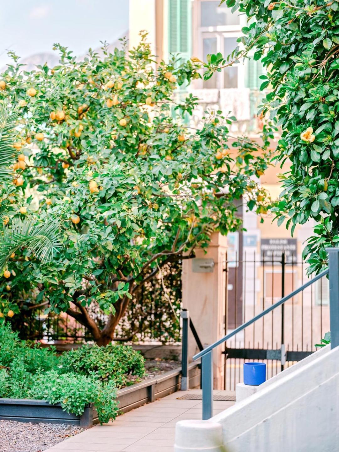Hotel Lemon Menton Luaran gambar
